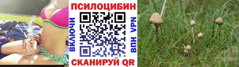 KRAKEN онион  закладка  Кяхта  Галлюциногенные грибы прущие грибы 
