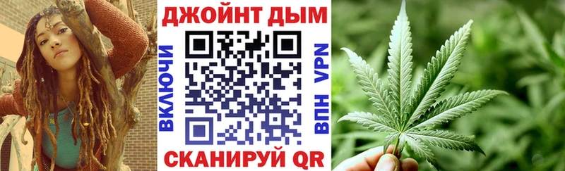 Конопля сатива  Кяхта 